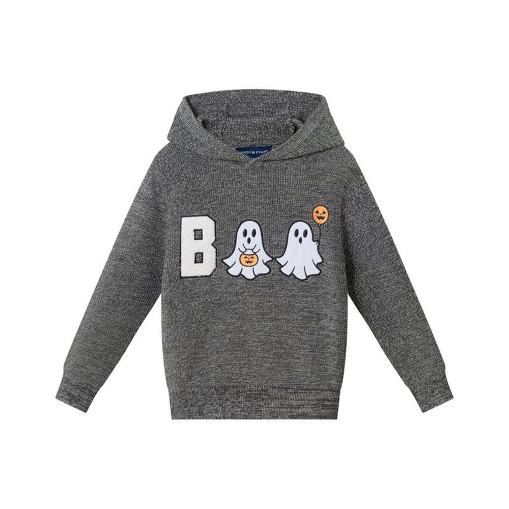 Andy & Evan Boys  Hooded Sweater